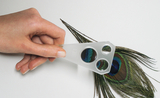 The image shows a hand holding a magnifying glass while looking at a colorful peacock feather. The magnifying glass has three different magnification lenses and allows a close look at the fine structures of the feather.