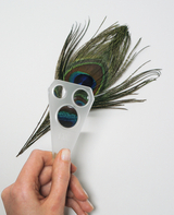 The image shows a hand holding a transparent slide on which a magnificent peacock feather pattern is visible. The combination of the slide and the feather is likely intended to illustrate scientific observations in an educational setting.