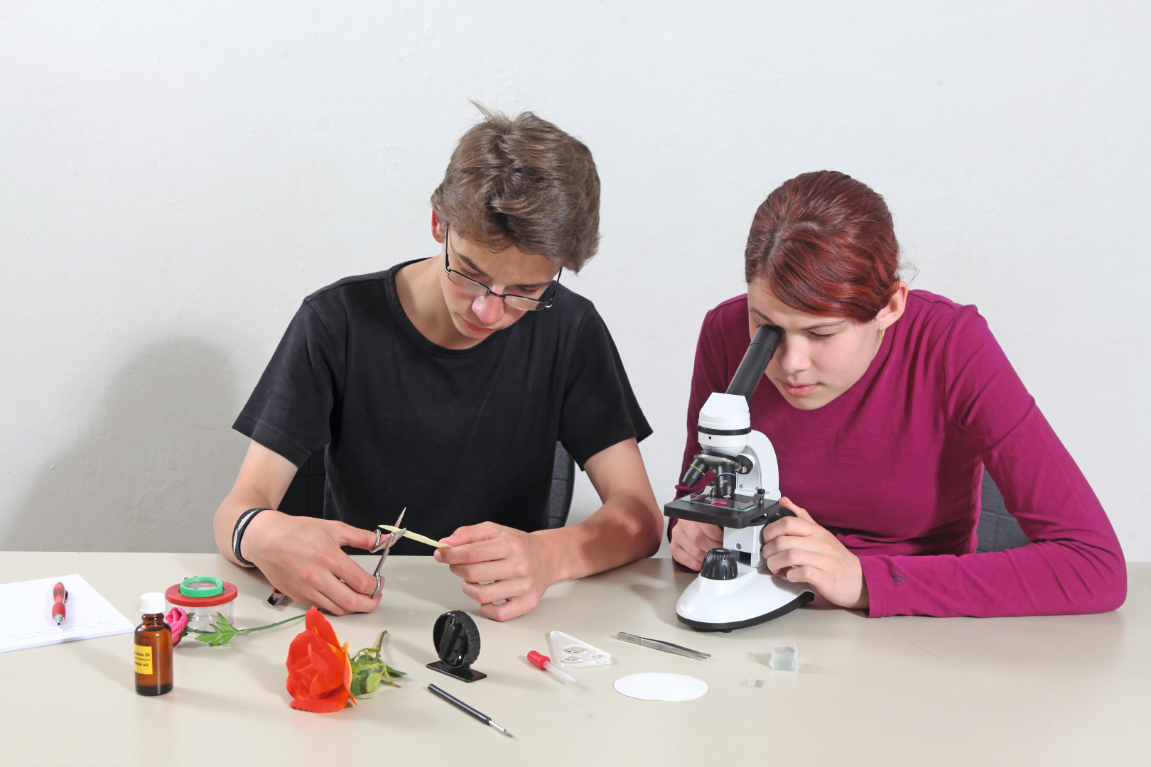 The picture shows two teenagers working on an experiment. A boy is cutting parts of a flower with scissors, while a girl is working on a microscope and looking at a sample.