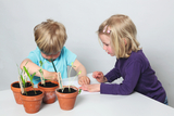 In the picture, two children are working on an experiment with plants. In front of them are several clay pots with soil and young plants while they discuss their observations and notes with each other.