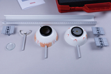 The image shows various experimental materials, including two special vessels depicting eye structures, a lens, a holding device and a ruler. These items appear to be designed for biological experiments or teaching purposes in education.