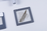 The image shows a microscopic preparation presented in a gray frame. It shows a transparent mineral object that may be used for educational purposes.