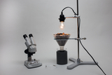 The picture shows a laboratory setup with a microscope and a filtration system illuminated by a light bulb. In the funnel is a mixture of different materials, possibly used for an experiment to study substances.