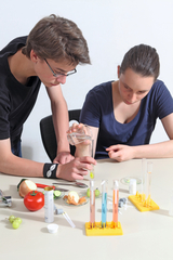 Two students are conducting an experiment, with one pouring a liquid from a container into a test tube. Various fruit and vegetable samples and laboratory equipment used for the experiment are on the table.